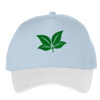 Classic 5-panel snapback (6007) Vignette