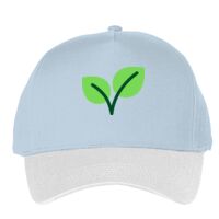 Classic 5-panel snapback (6007) Vignette