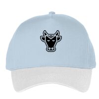 Classic 5-panel snapback (6007) Vignette