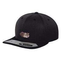 110 fitted snapback (110) Vignette
