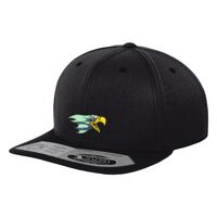 110 fitted snapback (110) Vignette