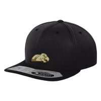 110 fitted snapback (110) Vignette