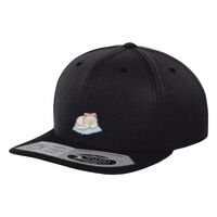 110 fitted snapback (110) Vignette