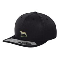 110 fitted snapback (110) Vignette