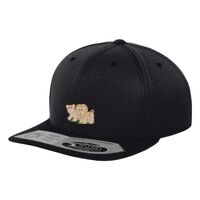 110 fitted snapback (110) Vignette