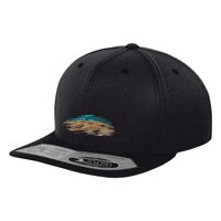 110 fitted snapback (110) Vignette