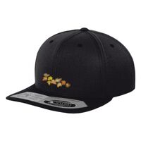 110 fitted snapback (110) Vignette