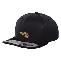 110 fitted snapback (110) Vignette