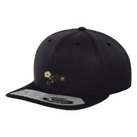 110 fitted snapback (110) Vignette