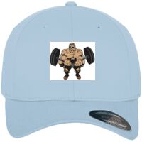 Flexfit fitted baseball cap (6277) Vignette