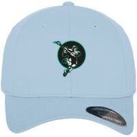 Flexfit fitted baseball cap (6277) Vignette