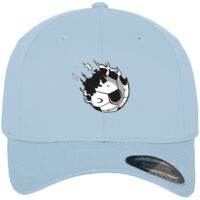 Flexfit fitted baseball cap (6277) Vignette