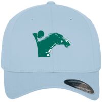 Flexfit fitted baseball cap (6277) Vignette