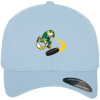 Flexfit fitted baseball cap (6277) Vignette