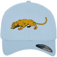 Flexfit fitted baseball cap (6277) Vignette