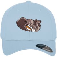 Flexfit fitted baseball cap (6277) Vignette