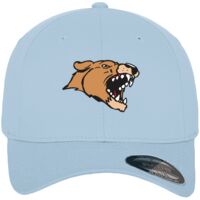 Flexfit fitted baseball cap (6277) Vignette