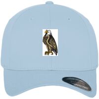 Flexfit fitted baseball cap (6277) Vignette