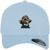 Flexfit fitted baseball cap (6277) Vignette