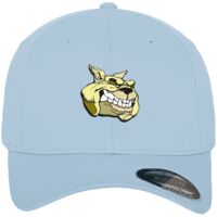 Flexfit fitted baseball cap (6277) Vignette