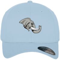 Flexfit fitted baseball cap (6277) Vignette