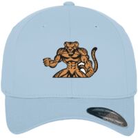 Flexfit fitted baseball cap (6277) Vignette
