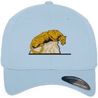 Flexfit fitted baseball cap (6277) Vignette