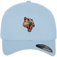 Flexfit fitted baseball cap (6277) Vignette