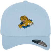 Flexfit fitted baseball cap (6277) Vignette