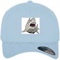 Flexfit fitted baseball cap (6277) Vignette