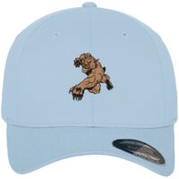 Flexfit fitted baseball cap (6277) Vignette