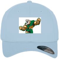 Flexfit fitted baseball cap (6277) Vignette