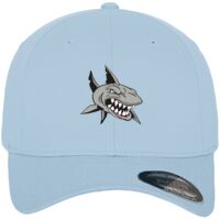 Flexfit fitted baseball cap (6277) Vignette