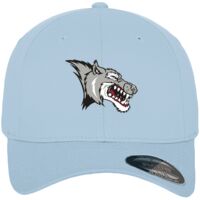 Flexfit fitted baseball cap (6277) Vignette