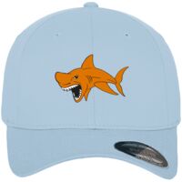 Flexfit fitted baseball cap (6277) Vignette