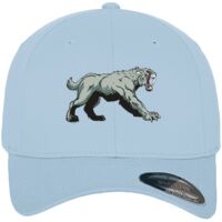 Flexfit fitted baseball cap (6277) Vignette