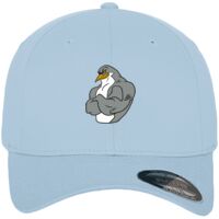 Flexfit fitted baseball cap (6277) Vignette