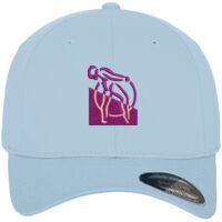 Flexfit fitted baseball cap (6277) Vignette