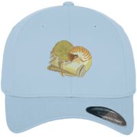 Flexfit fitted baseball cap (6277) Vignette