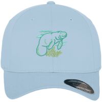 Flexfit fitted baseball cap (6277) Vignette