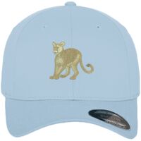 Flexfit fitted baseball cap (6277) Vignette