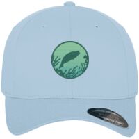 Flexfit fitted baseball cap (6277) Vignette