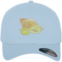 Flexfit fitted baseball cap (6277) Vignette