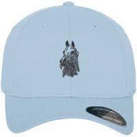 Flexfit fitted baseball cap (6277) Vignette