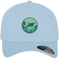 Flexfit fitted baseball cap (6277) Vignette