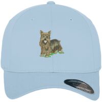 Flexfit fitted baseball cap (6277) Vignette