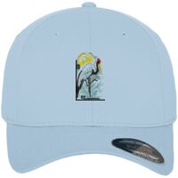 Flexfit fitted baseball cap (6277) Vignette