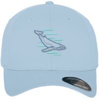 Flexfit fitted baseball cap (6277) Vignette