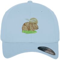 Flexfit fitted baseball cap (6277) Vignette