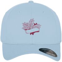 Flexfit fitted baseball cap (6277) Vignette